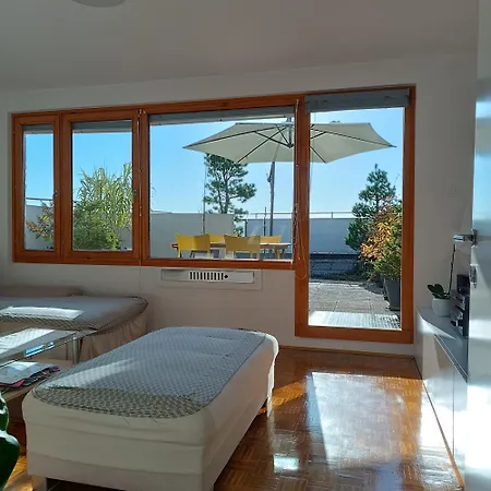 Апартаменти Bright Penthaus Apartement, With A Wonderful View Любляна